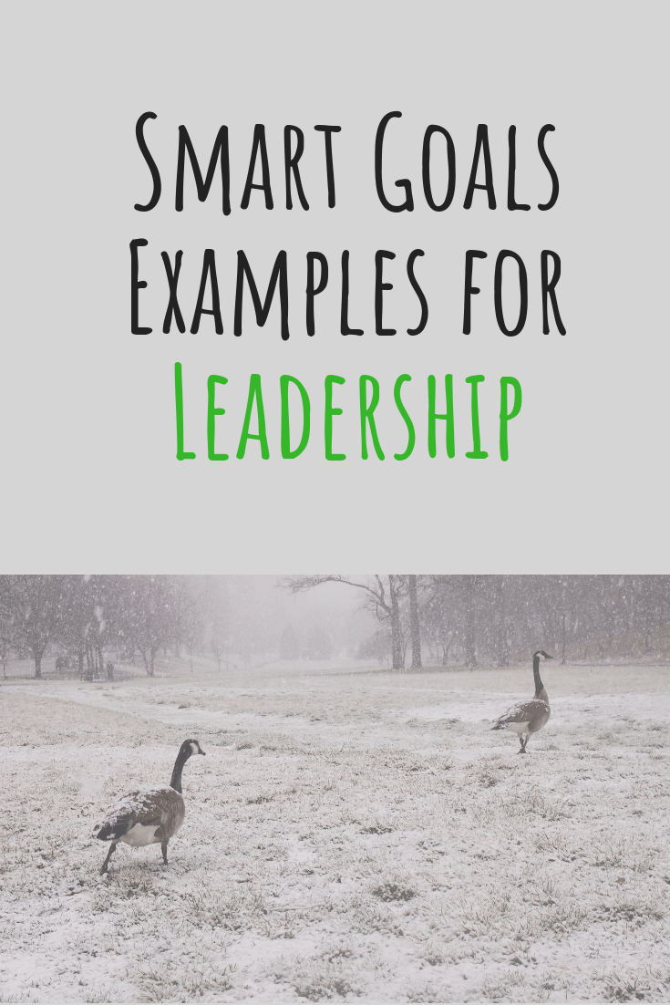 smart-goals-examples-for-leadership-tim-lombardo